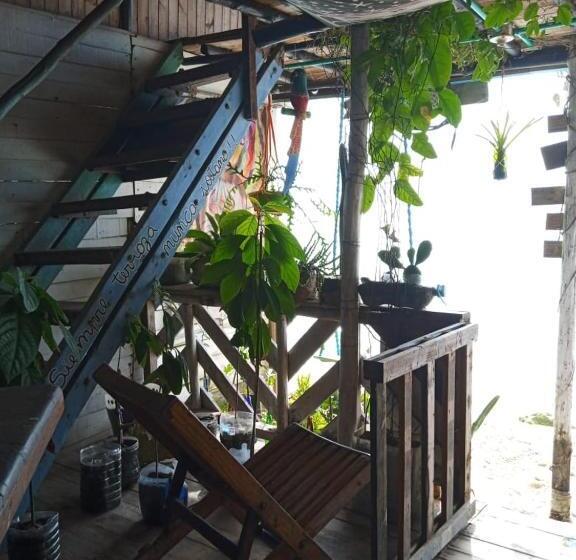 هاستل Despertarte Espacio De Arte Y Hospedaje