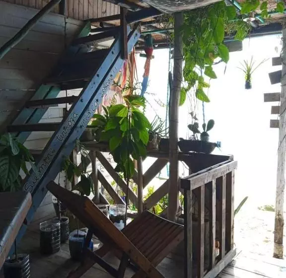 هاستل Despertarte Espacio De Arte Y Hospedaje