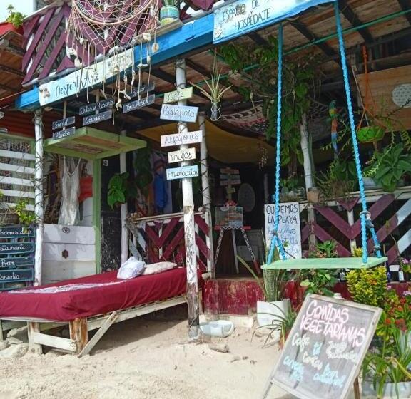 هاستل Despertarte Espacio De Arte Y Hospedaje