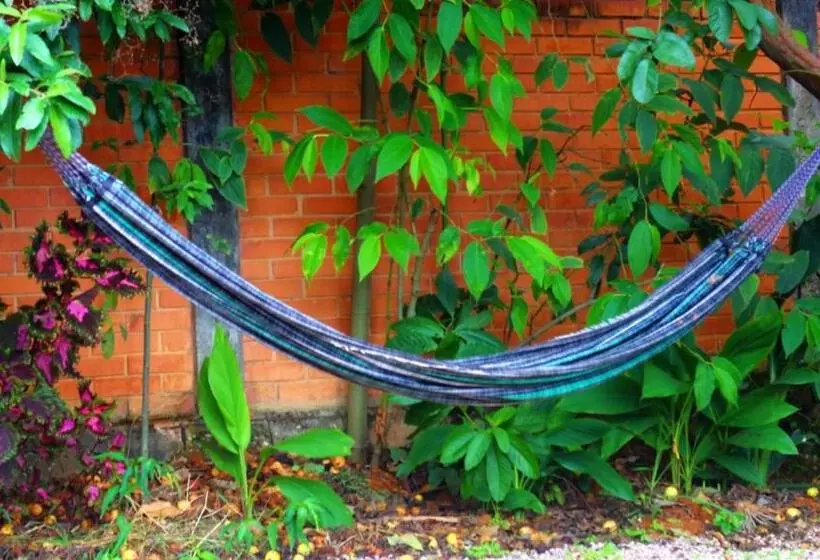 Hostel Gentileza   Guest House