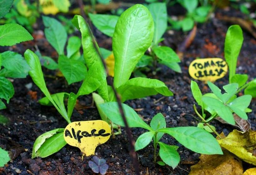 Hostel Gentileza   Guest House