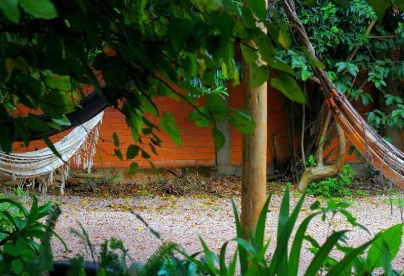 Hostel Gentileza   Guest House