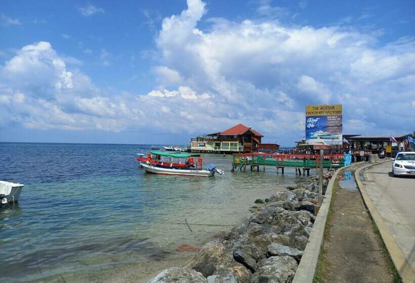 Onat Hostel West End Private Or Shared Room