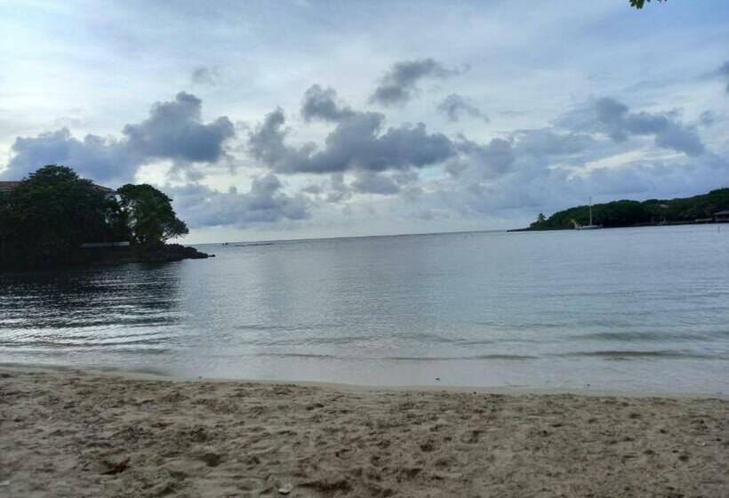 Onat Hostel West End Private Or Shared Room