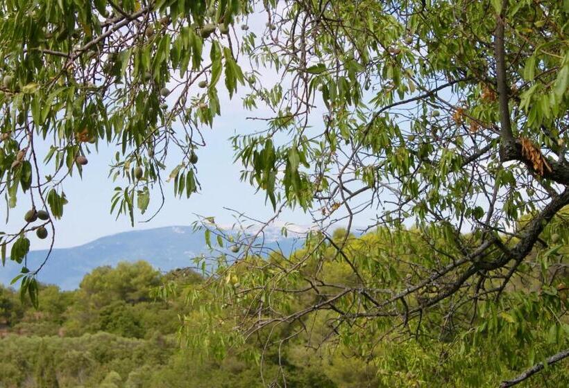 مبيت وإفطار Mas De La Gonnette