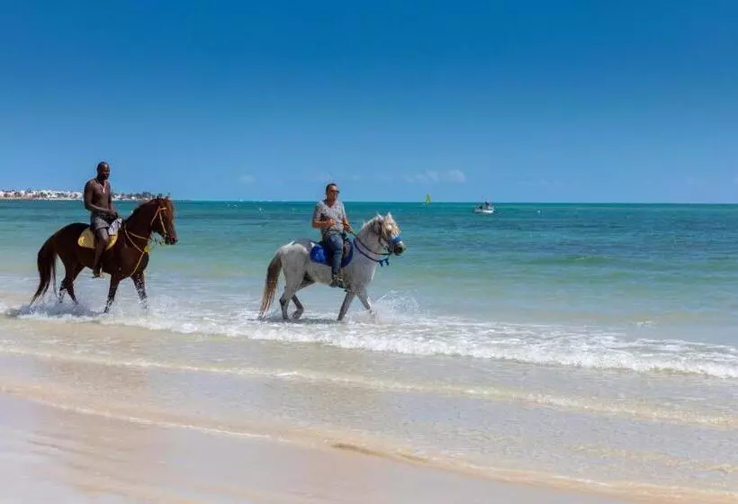 ホテル Hari Club Beach Resort