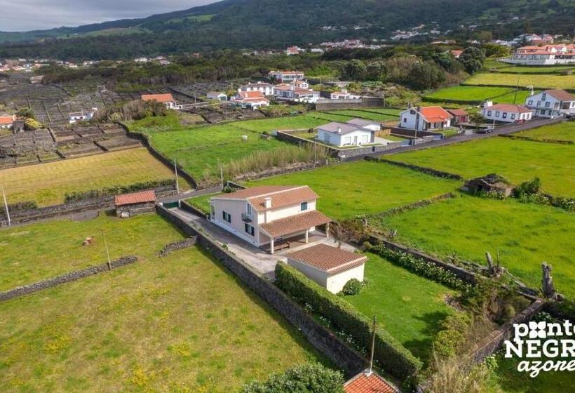 Johnny S House By Pontanegraazores