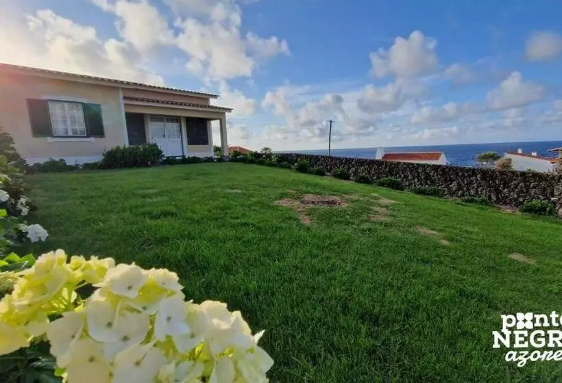 Johnny S House By Pontanegraazores