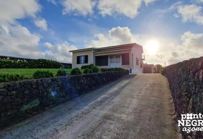 Johnny S House By Pontanegraazores