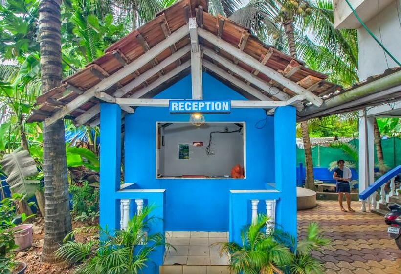 膳宿费 Jovinho S Place