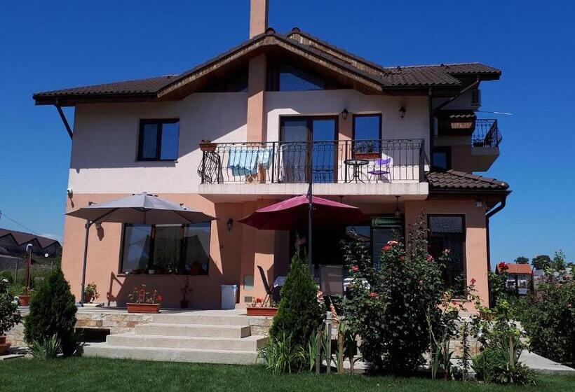 ペンション Vila Livia