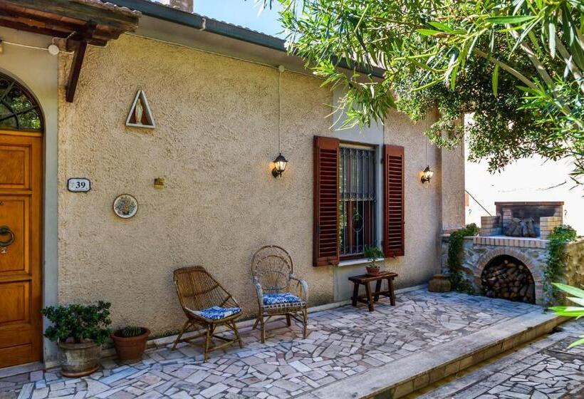 Amazing Tuscany Window