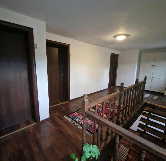 פנסיון Cabana Din Pădure