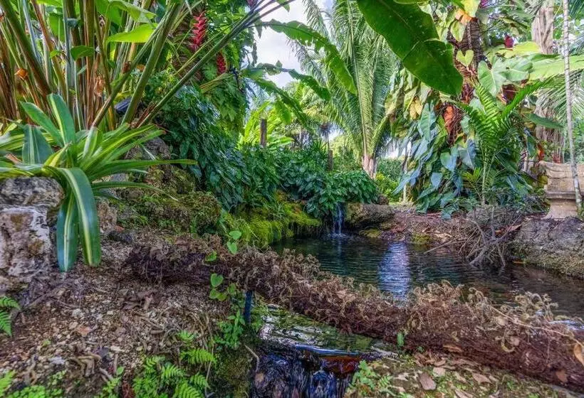 The Garden House Hot Tub Pool And Lush Garden Oasis