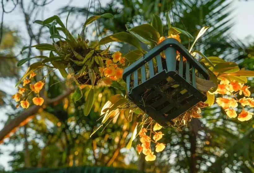 The Garden House Hot Tub Pool And Lush Garden Oasis