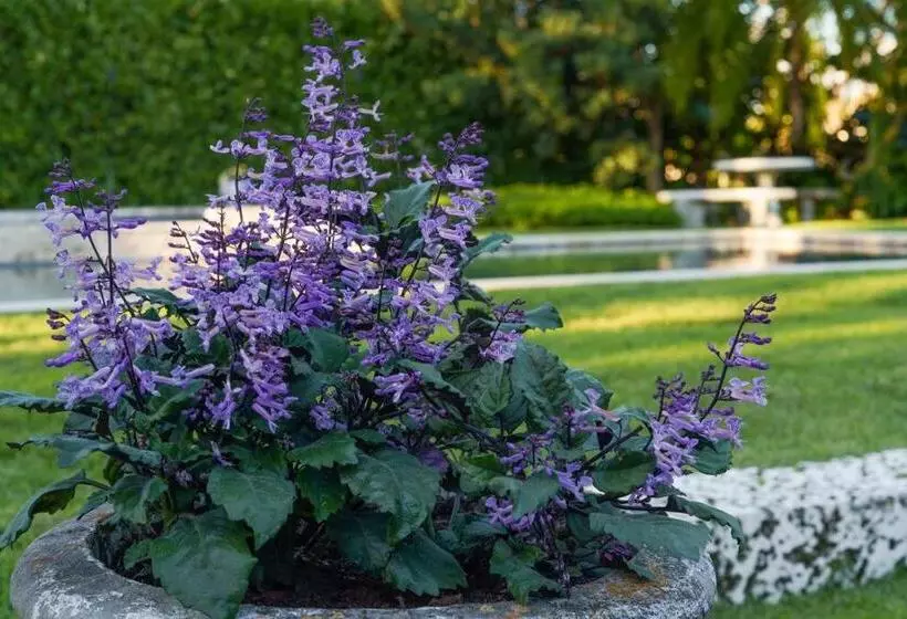 The Garden House Hot Tub Pool And Lush Garden Oasis