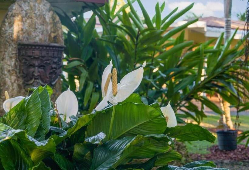 The Garden House Hot Tub Pool And Lush Garden Oasis