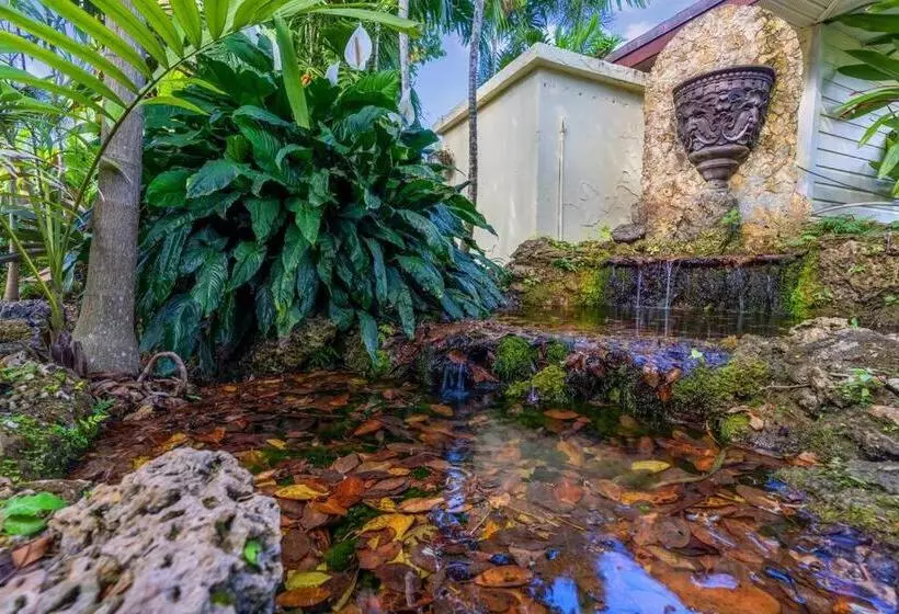 The Garden House Hot Tub Pool And Lush Garden Oasis