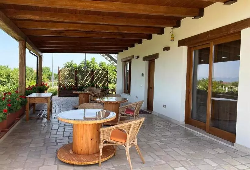 B & B Vigna Di Filippo   Paestum