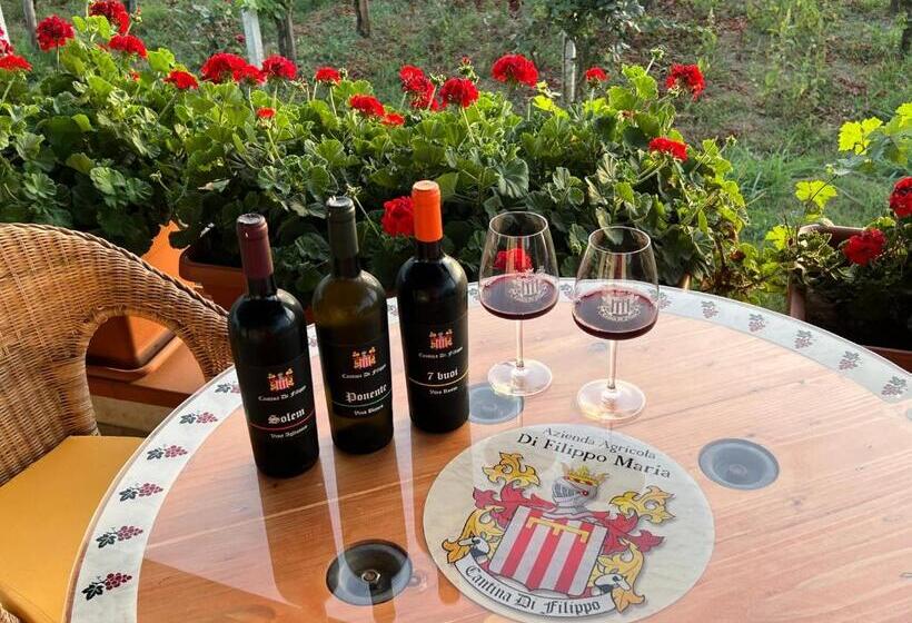 B & B Vigna Di Filippo Paestum