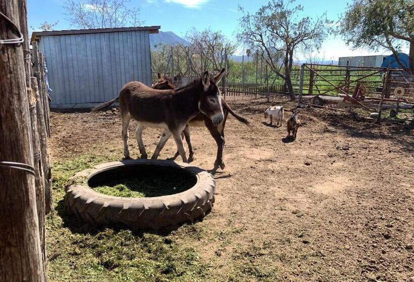 B & B Vigna Di Filippo   Paestum