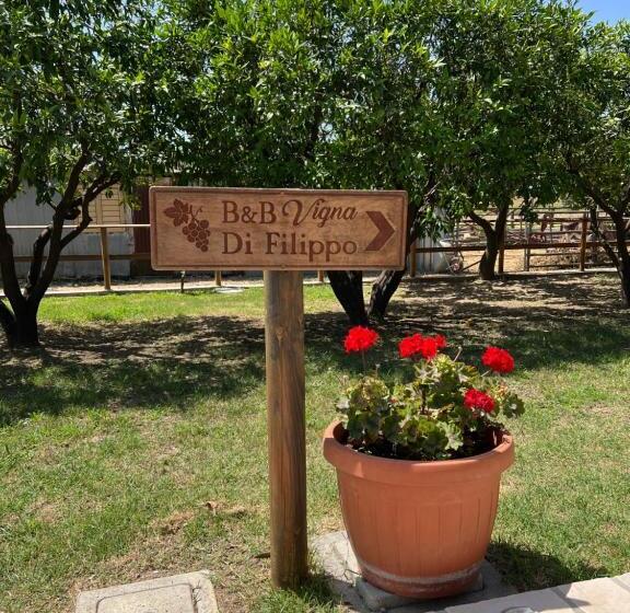 B & B Vigna Di Filippo Paestum