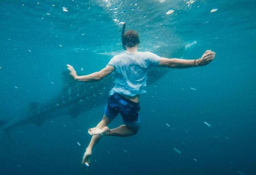 پانسیون Manta Dhangethi