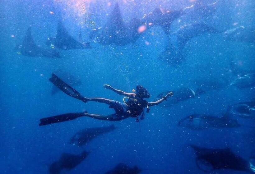 پانسیون Manta Dhangethi