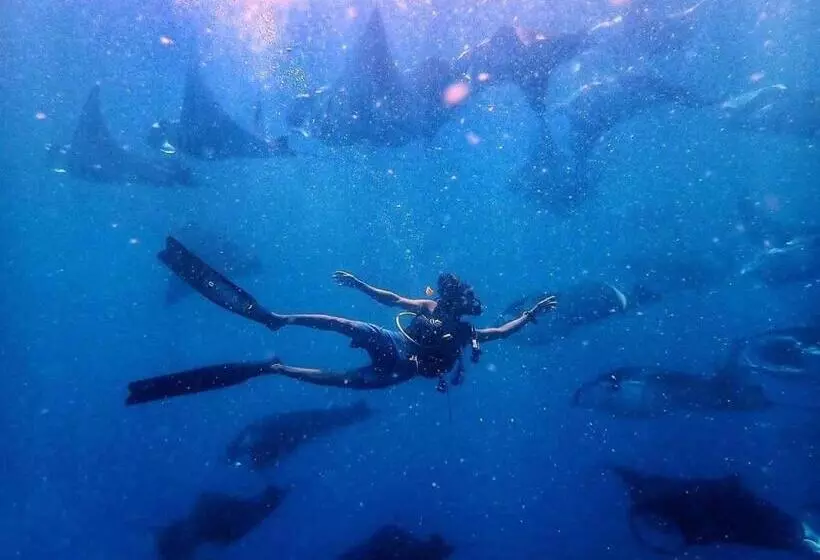 پانسیون Manta Dhangethi