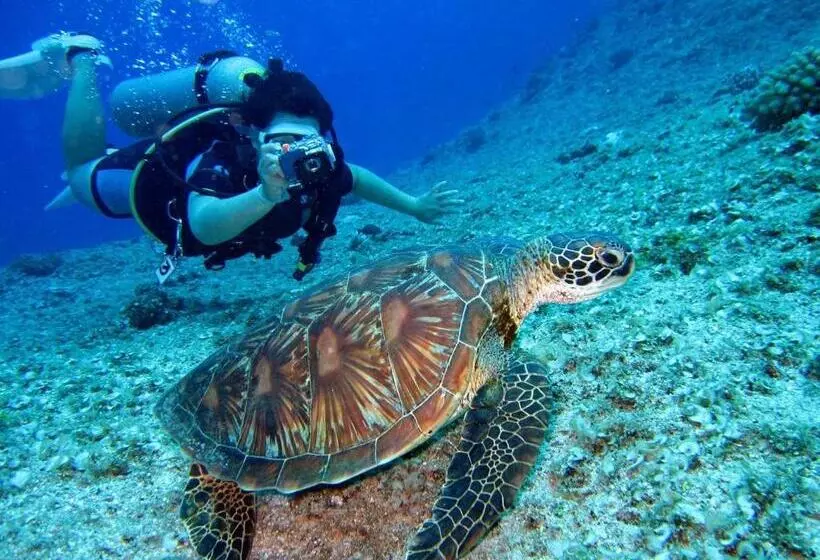 پانسیون Manta Dhangethi