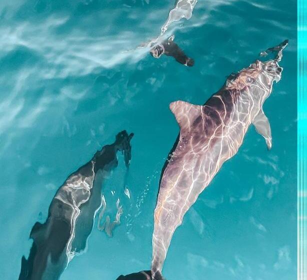 پانسیون Manta Dhangethi