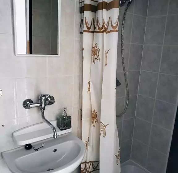 ペンション Penzion Vysočina