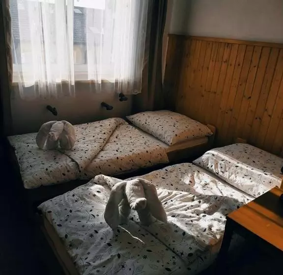 ペンション Penzion Vysočina