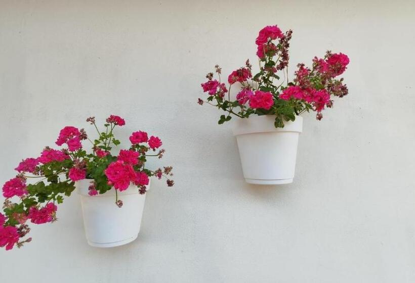 Villa Sara   Villa Con Piscina