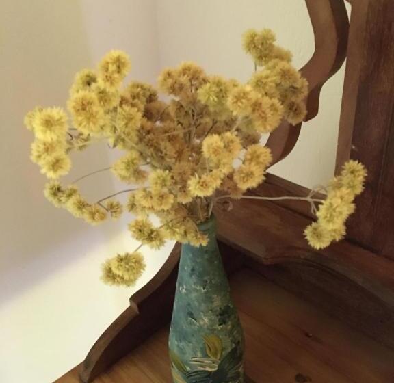 ベッドアンドブレックファースト Cama Caminho Da Serra