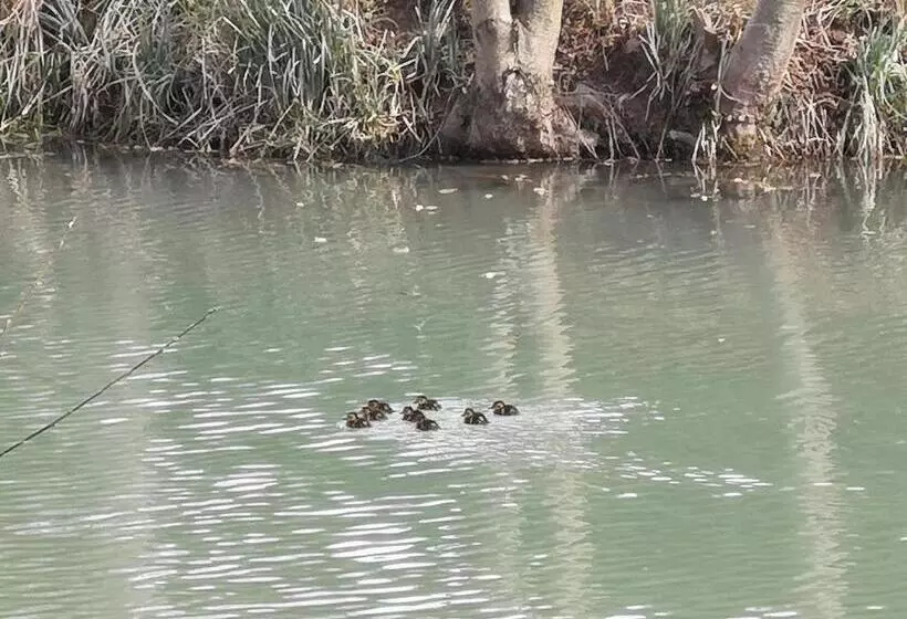 Aamiaismajoitus (B&B) Chambre Insolite Dans Un Chalet