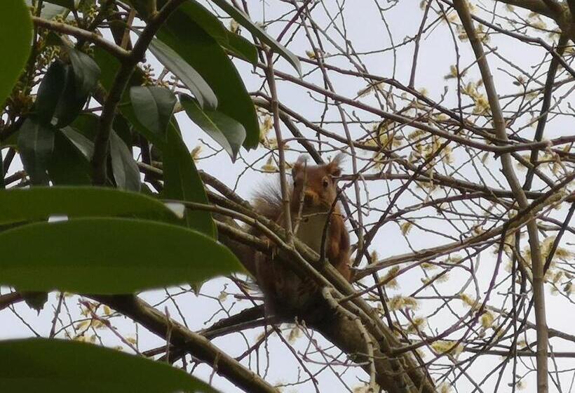 住宿加早餐  Chambre Insolite Dans Un Chalet