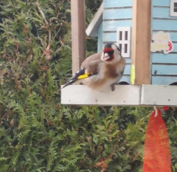 مبيت وإفطار Chambre Insolite Dans Un Chalet