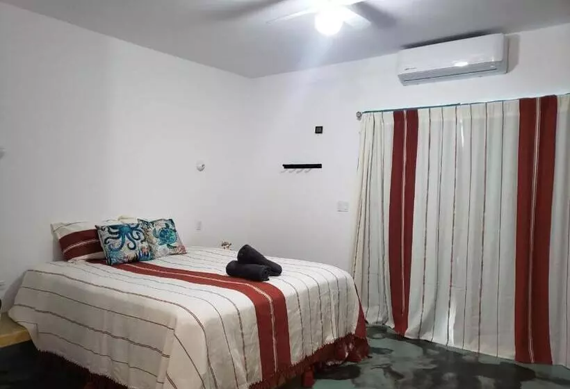 ホテル Casa Arrecife Dorado Suite, Fast Wifi & Balcony! Beach Is Steps Away!