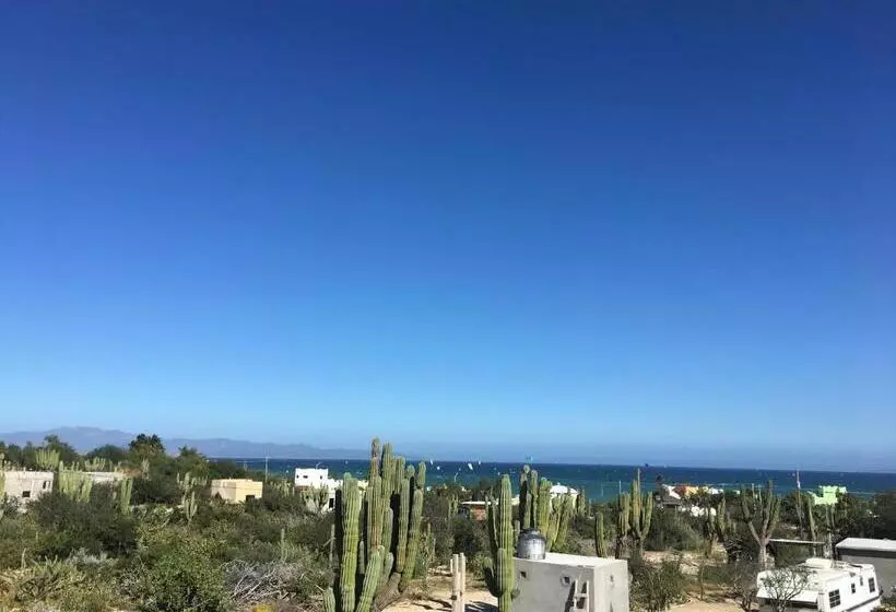 ホテル Casa Arrecife Dorado Suite, Fast Wifi & Balcony! Beach Is Steps Away!