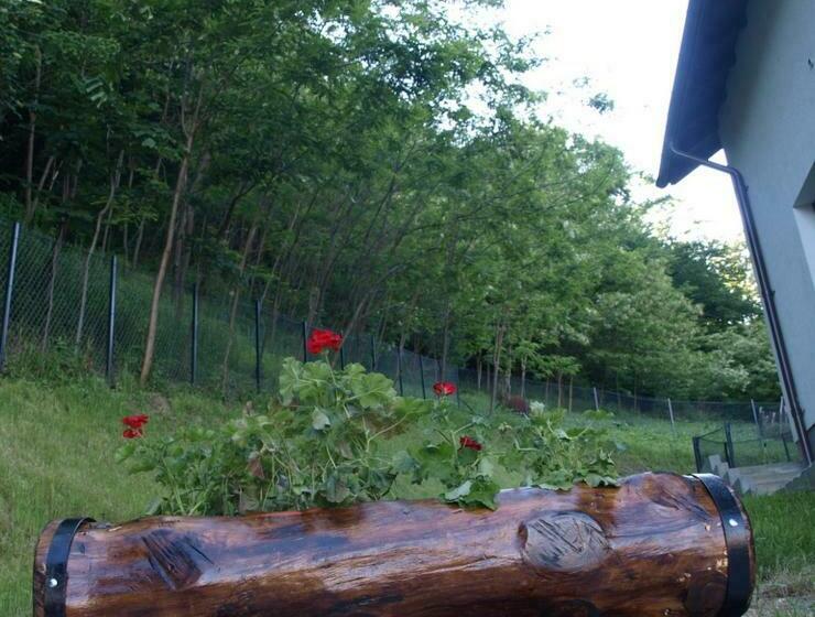 膳宿费 Casa Albinuța