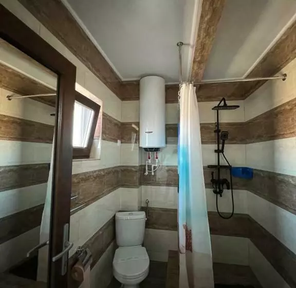 ペンション Casa Lebăda