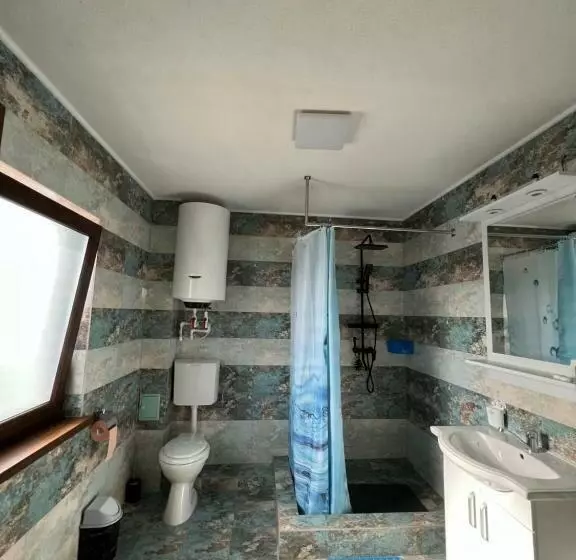 ペンション Casa Lebăda