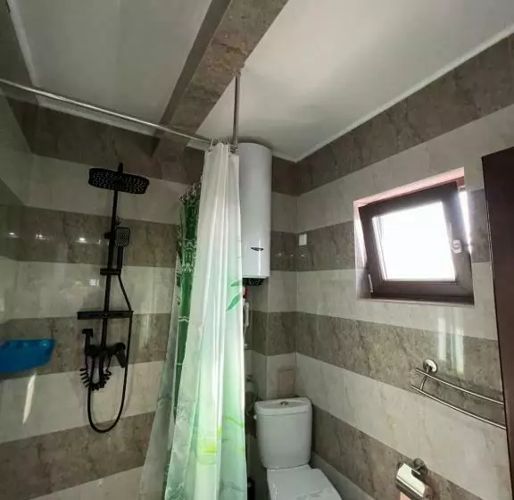 ペンション Casa Lebăda