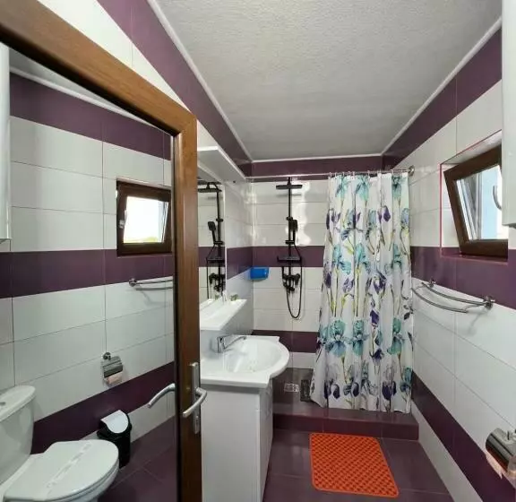 ペンション Casa Lebăda