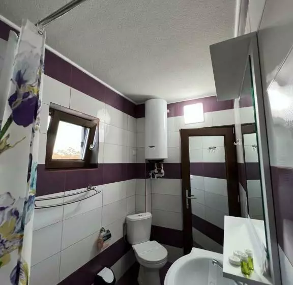 ペンション Casa Lebăda