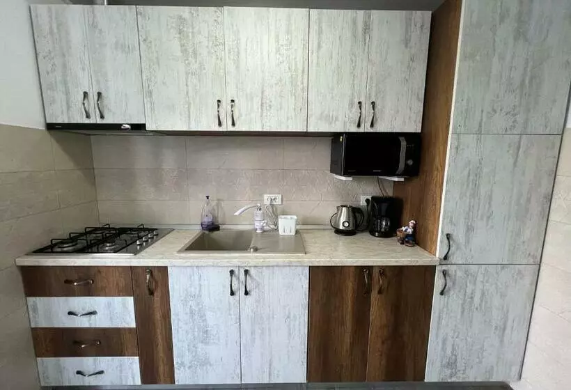 ペンション Casa Lebăda