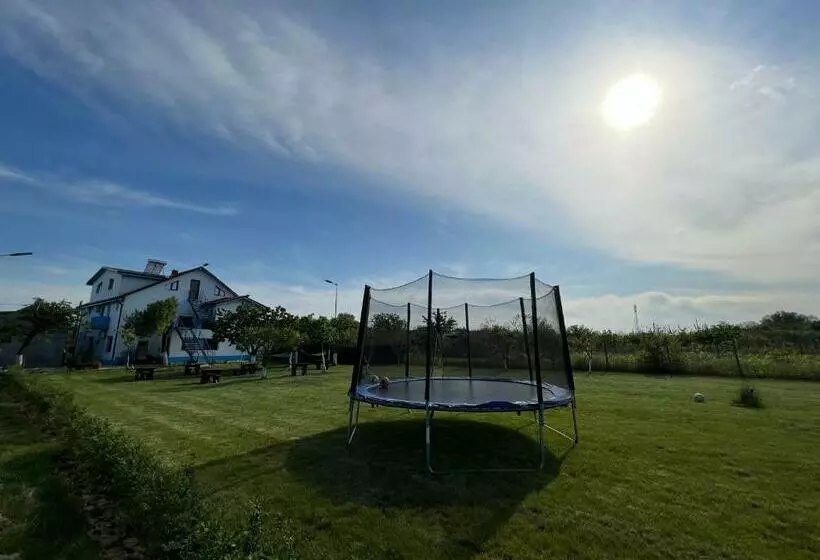 ペンション Casa Lebăda