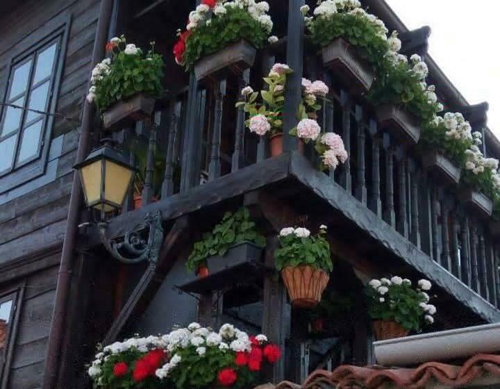 פנסיון The Old House