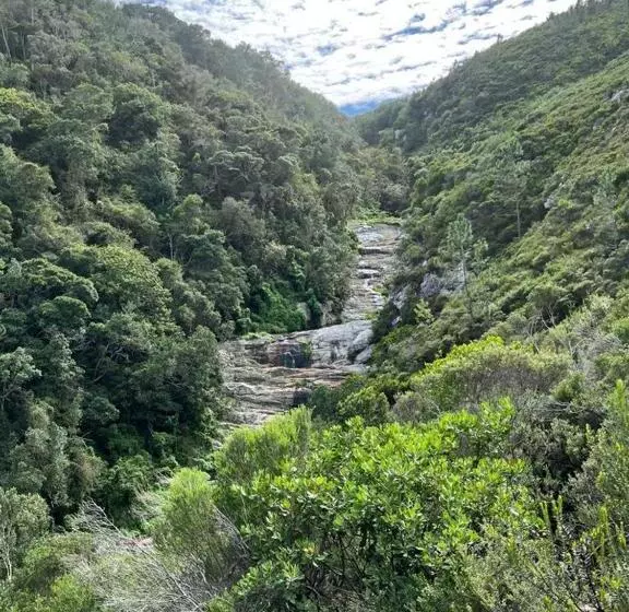 Hotelli Misty Mountain Reserve